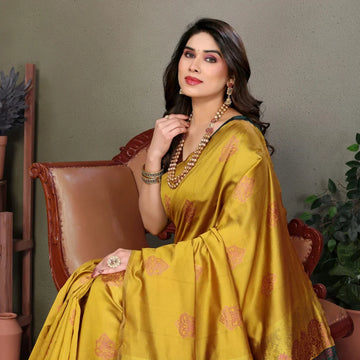Banarasi Silk