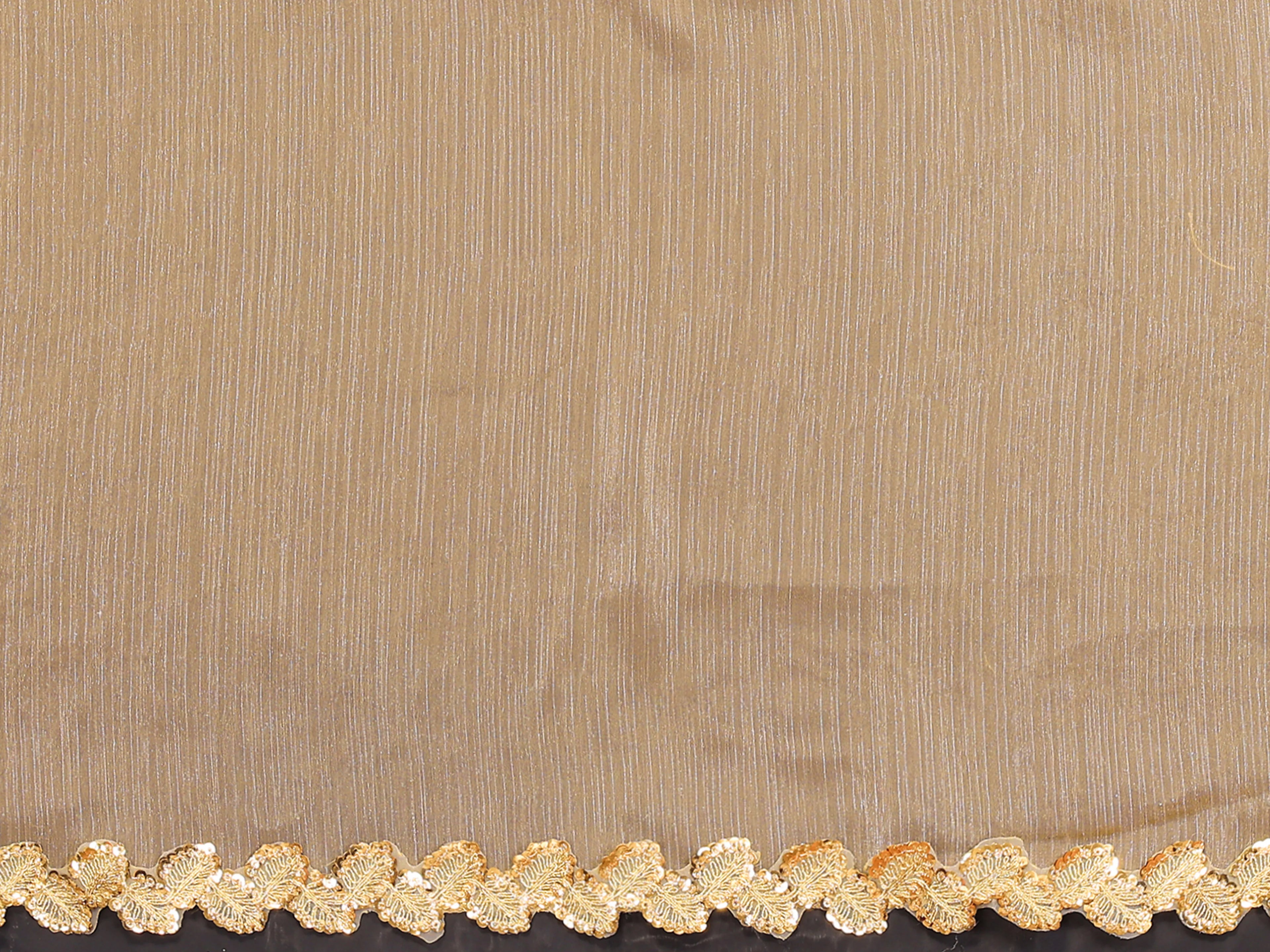 SHYAMIKA Jimmy Chu Plain Saree with Cutwork Lace & Sequin Blouse